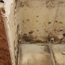 Mold Remediation Chandler Az Condo Arizona Total Home Restoration