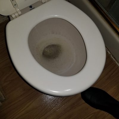 Arizona Total Home Restoration - Mesa, AZ - Black Mold in Toilet with Water - Before
