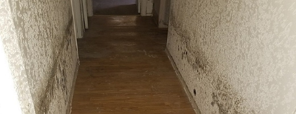 Mold Problems - Black Mold in Hallway of Home - ATH Restoration - Scottsdale AZ