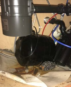 Mold Remediation - AZ Total Home Restoration - Mesa, AZ - Mold in your home under sink from pipe leak