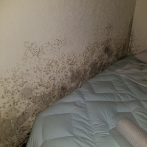 Bedroom-Moldy-walls-Stchy-Phoenix-AZ-
