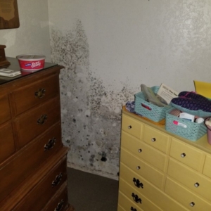 Mold on Bedroom Walls from Water Supply Line Leak - Phoenix, AZ