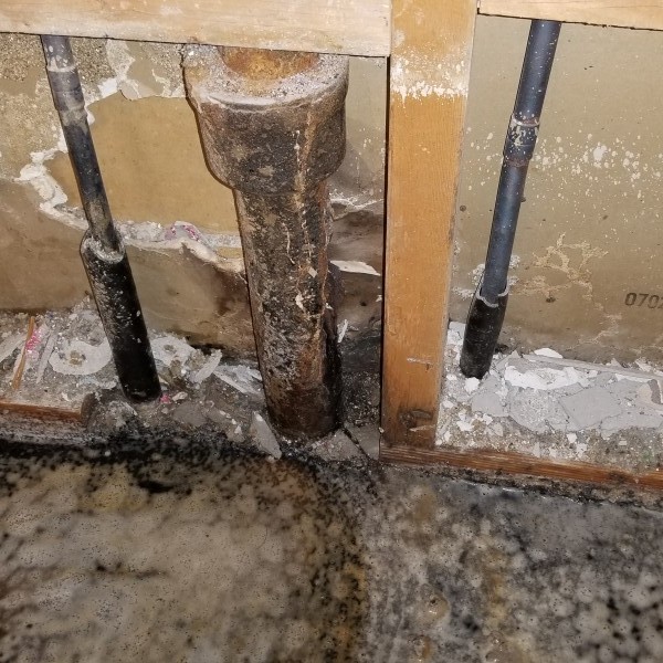 Looking for Signs of Water Damage in the Bathroom