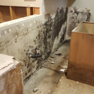 Cleanup-and-Demo-in-Kitchen-Mold-Remediation-Chandler-AZ