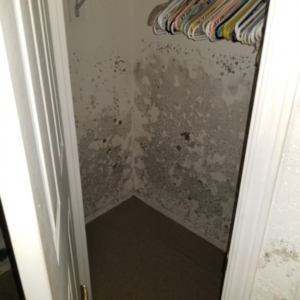 Mold in Closet, Mobile Home, Phoenix AZ, Severe Water Damage