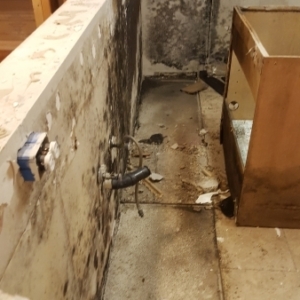 Mold-Growth-Behind-Kitchen-Cabinets-After-Flood-Mold-Remediation-Chandler-AZ