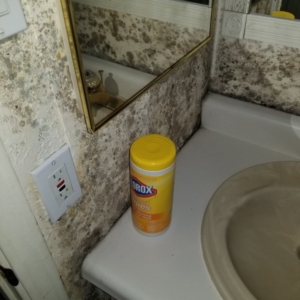 Severe Mold, Bathroom, Vanity, Phoenix AZ