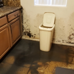 Sewage-Backup-in-Kitchen-Water-Damage-Restoration-Mold-Remediation-Chandler-AZ