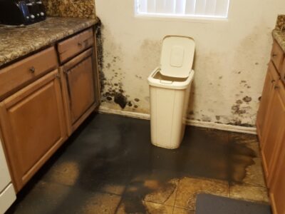 Sewage-Backup-in-Kitchen-Water-Damage-Restoration-Mold-Remediation-Chandler-AZ for Property Management Company