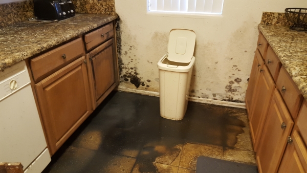 Water Damage in Kitchen