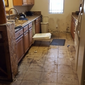 Standing-Black-Water-Cleanup-In-Process-Mold-Remediation-Chandler-AZ