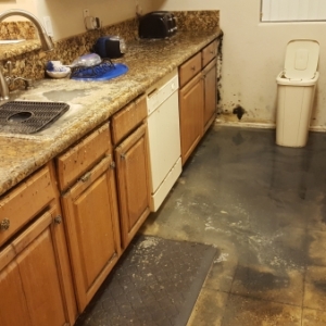 Standing-Black-Water-in-Kitchen-After-Sewer-Backup-Came-Through-Sink-Chandler-AZ-Mold-Remediation