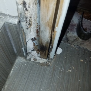 Toilet-Leak-Phoenix-AZ-Mold-Damage