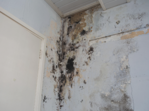 Vertical black mold streaks spreading down an interior wall beside a door frame in a Phoenix home