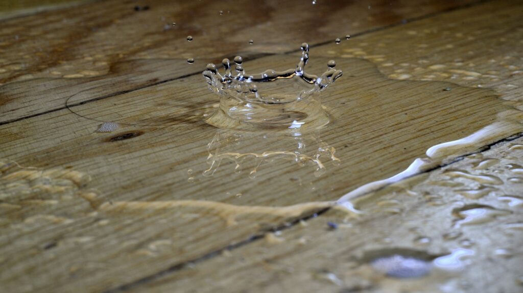 water damaged