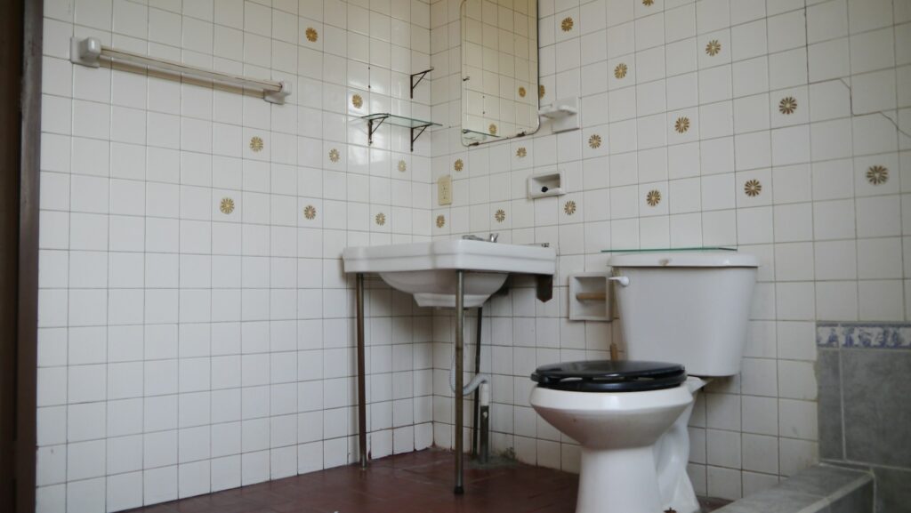 bathroom mold